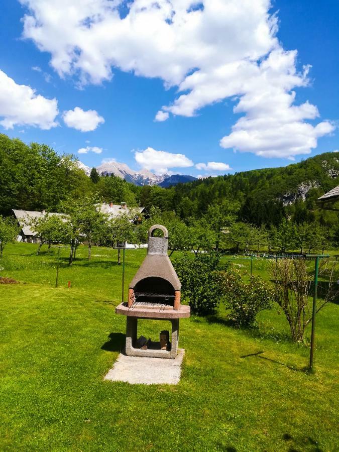 Apartments Henigman ボーヒニ エクステリア 写真